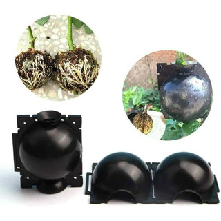 Bola De Enraizamento 8cm Para Clonar Plantas Alporquia Enxertia Esfera Rooter Reutilizável