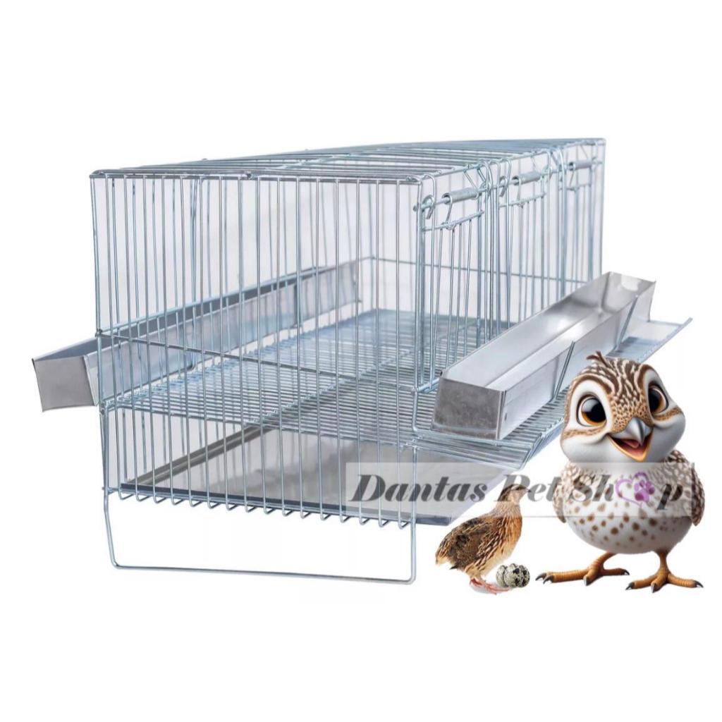 Gaiola Para Codorna Poedeira 9 Aves Completa Chocadeira Criadeira de Pintinhos Aves G55 em Oferta na Shopee