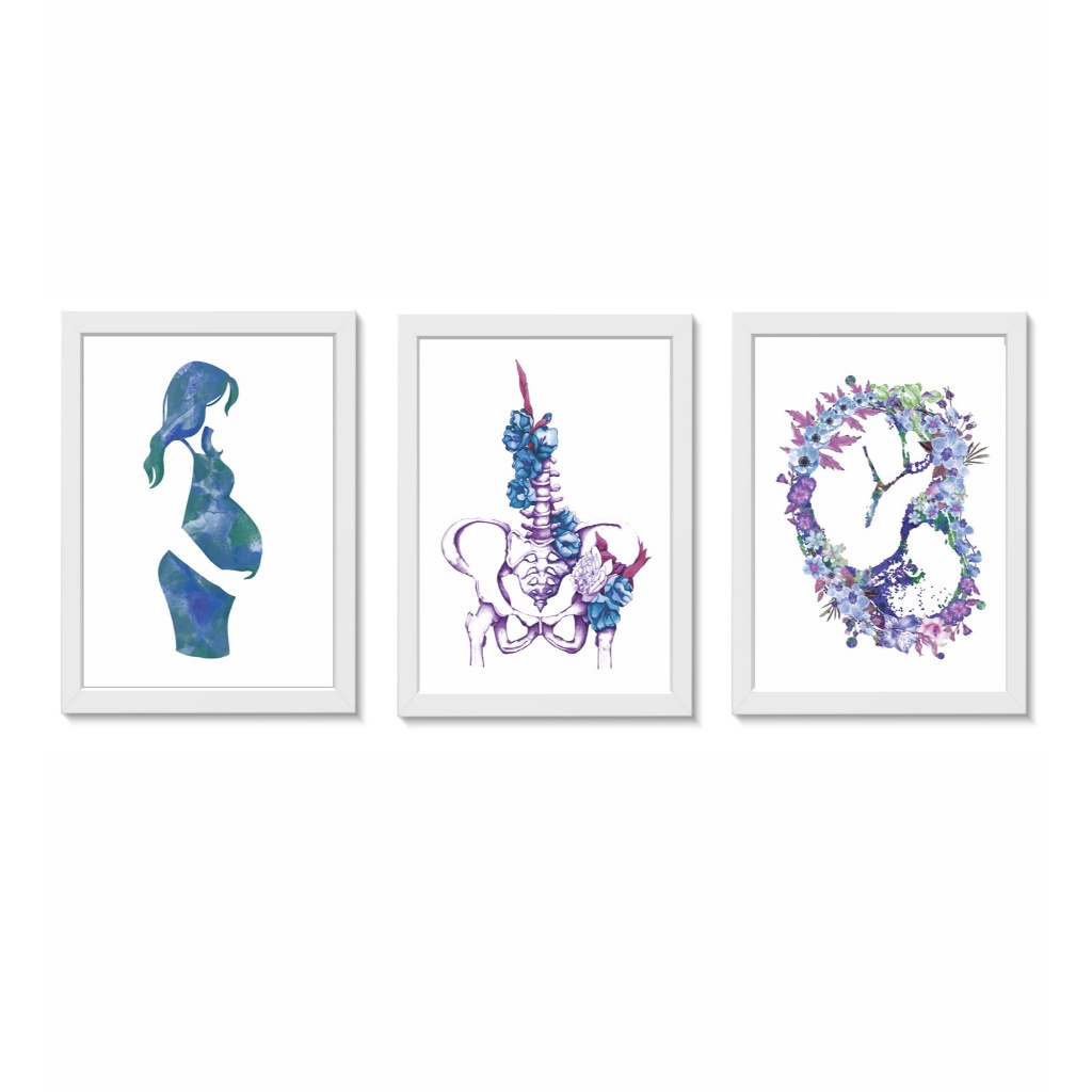 Kit 3 Quadros Decorativos Gestante Pelve Bebê Ginecologia Medicina Consultório Molduras 20x30cm