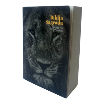 Bíblia Sagrada | Brochura | BOLSO em Oferta na Shopee