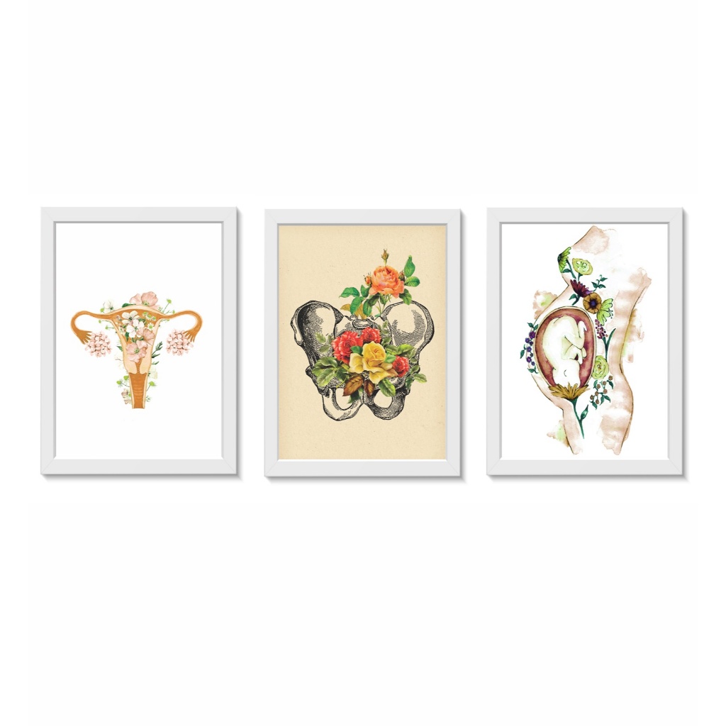 Kit 3 Quadros Decorativos Gestação Gestante Útero Pelve com Flores Medicina Molduras 20x30cm Madeira Vidro Cor Brancas