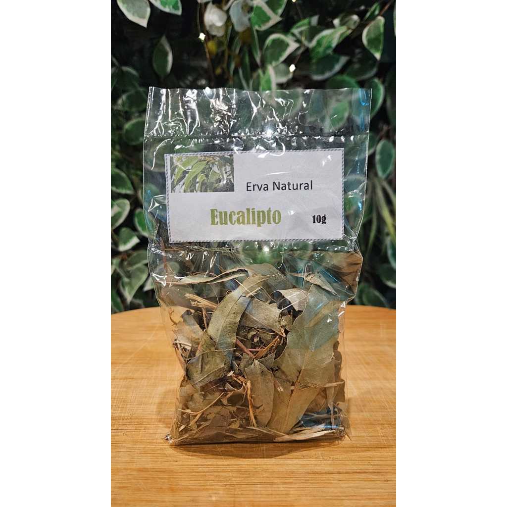 Eucalipto - Erva Natural em Oferta na Shopee