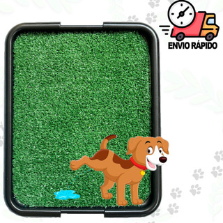 Sanitário Pet Cachorros Graminha Tapete Higiênico Cães Xixi Sim Não