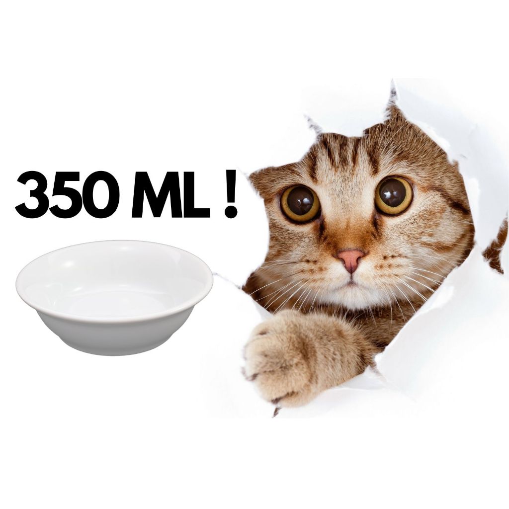 Comedouro de Porcelana 2ª Linha 350ml Para Gato/Cachorro em Oferta na Shopee