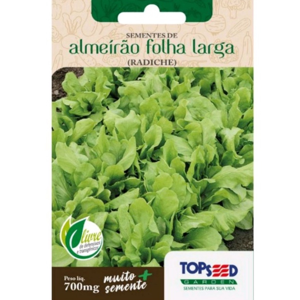 O que é Semente Almeirao Folha Larga Topseed Garden? Guia e Onde Comprar | BuscaProdutos