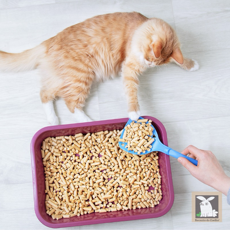 Granulado Higiênico de Madeira