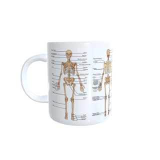 Caneca Medicina Anatomia Sistema Esquelético e Muscular Xícara Porcelana em Oferta na Shopee