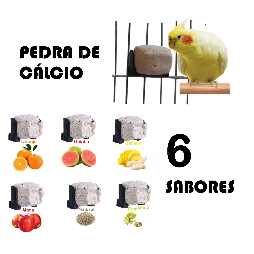 Cálcio para Calopsita – Kit 6 Blocos Bica Bica Vários Aromas Sabor para pássaros Agapornis Periquitos Ring Neck