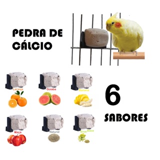 Cálcio para Calopsita – Kit 6 Blocos Bica Bica Vários Aromas Sabor para pássaros Agapornis Periquitos Ring Neck em Oferta na Shopee