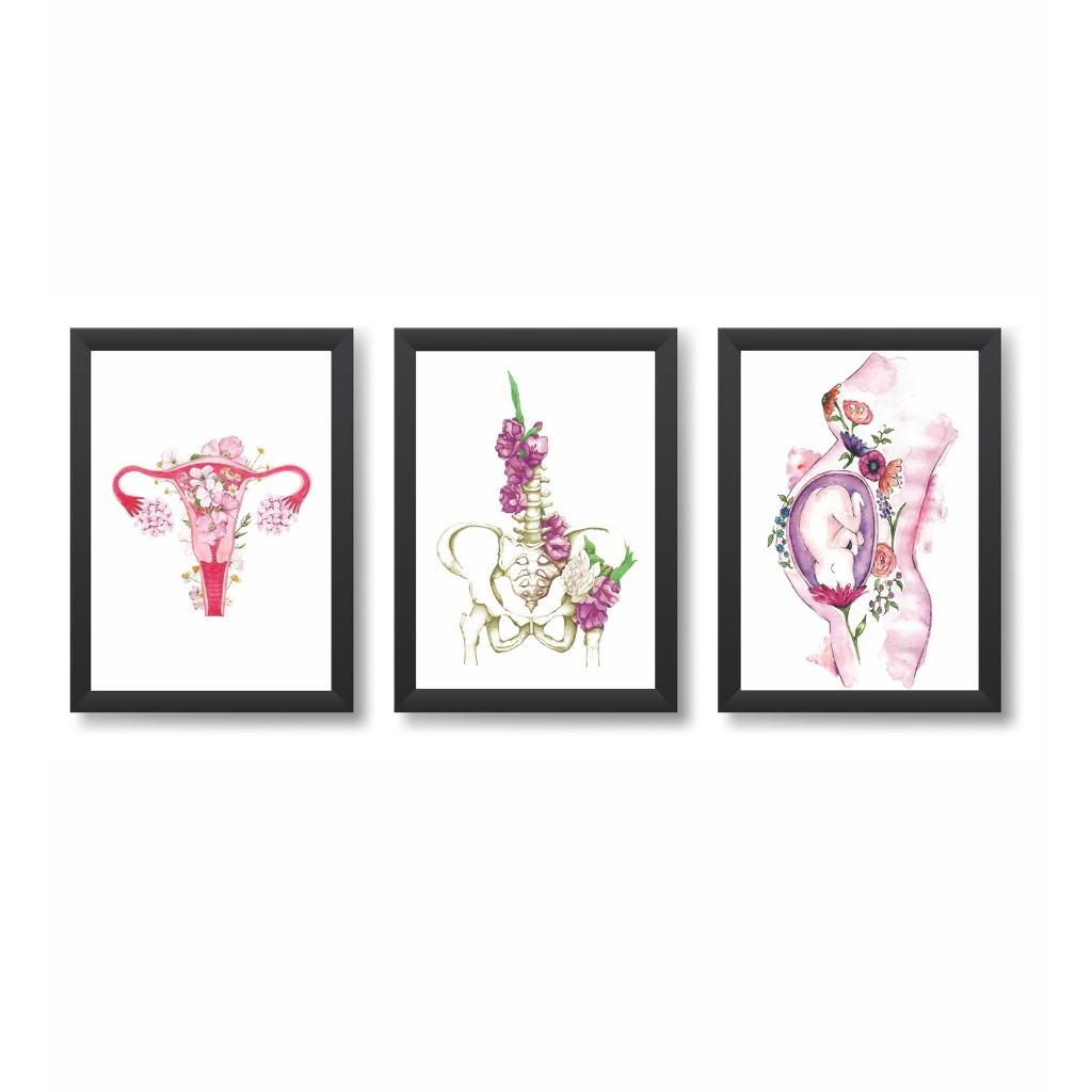 Kit 3 Quadros Decorativos Útero Pelve Gestante Consultório Ginecologia Obstetrícia Moldura 20x30cm