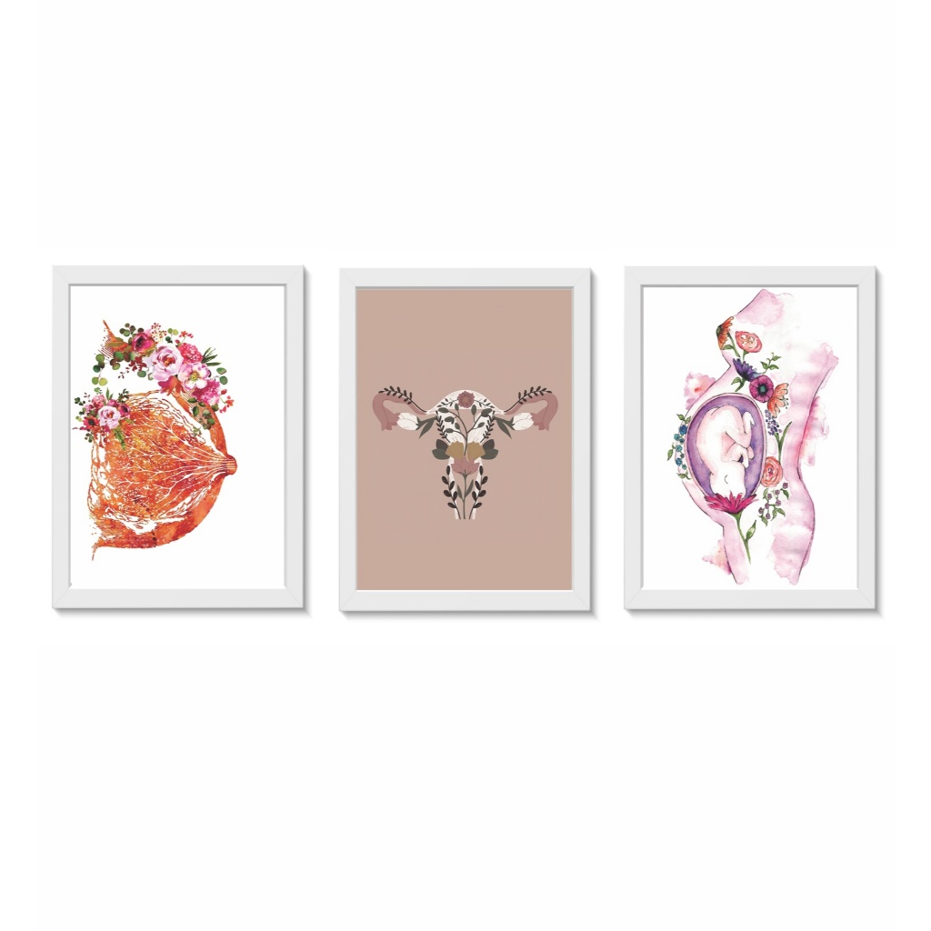 Kit 3 Quadros Decorativos Mama Útero Gestante Ginecologia Obstetrícia Medicina Consultório Molduras 20x30cm Madeira