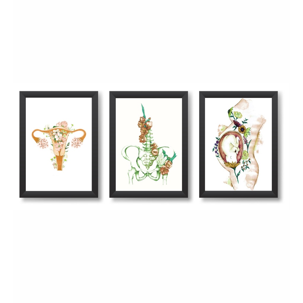 Kit 3 Quadros Decorativos Útero Pelve Gestante Obstetrícia Medicina Molduras 20x30cm Madeira Vidro Cor Pretas