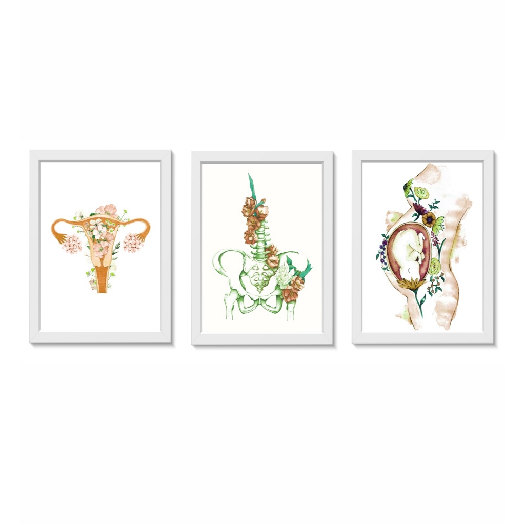 Kit 3 Quadros Decorativos Útero Pelve Gestante Ginecologia Obstetrícia Medicina Consultório Moldura 20x30cm Madeira
