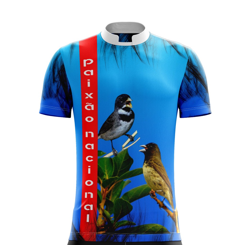camisa camiseta desenho trinca ferro pixarro coleiro coleirinha e papa capim baiano kit com 10 unidades