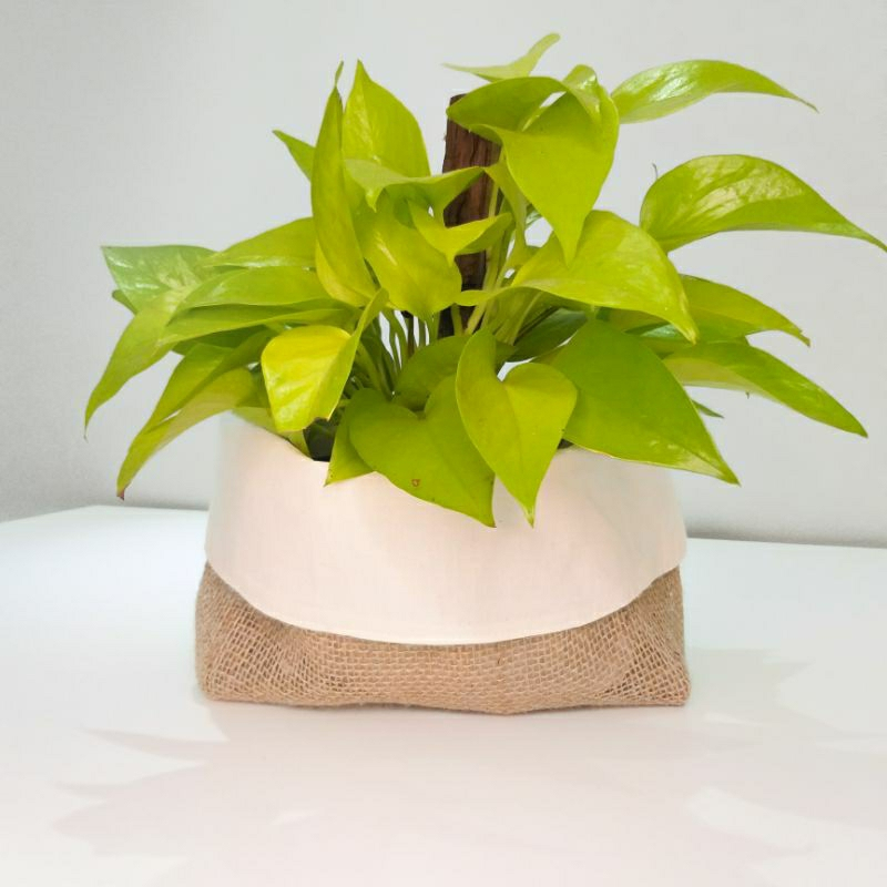 Vaso cachepo Para Planta Decoração De Planta Dupla Face Feito Em Juta (porta-treco Multius...