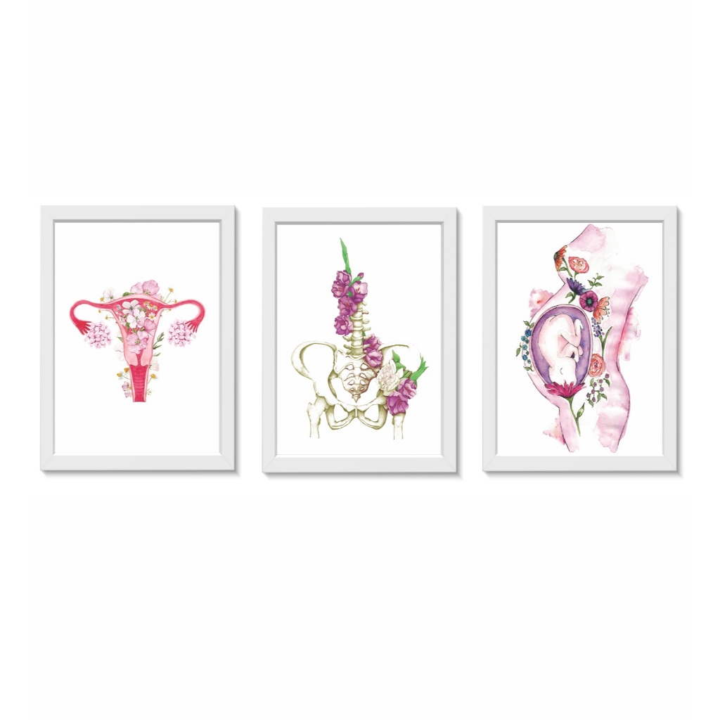 Kit 3 Quadros Decorativos Útero Pelve Gestante Ginecologia Obstetrícia Molduras 20x30cm Madeira