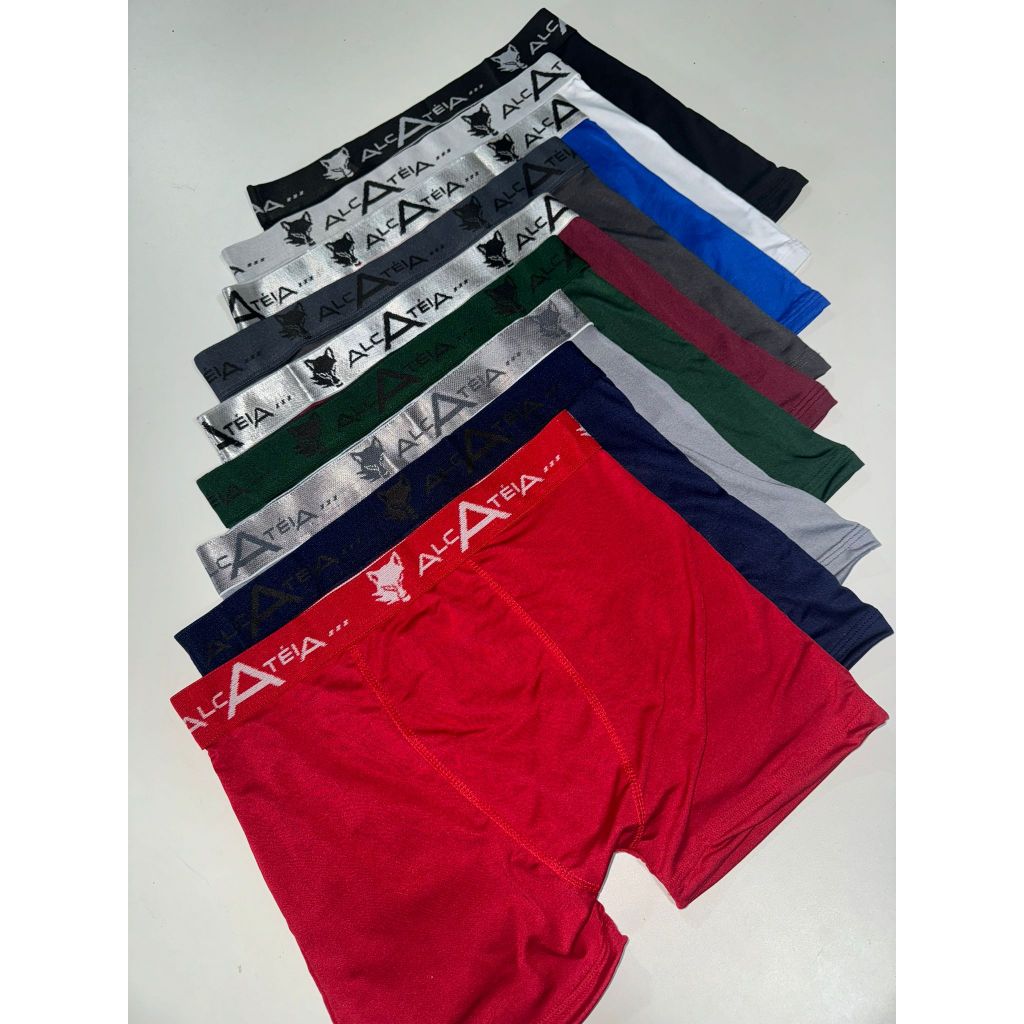 kit 10 Cuecas Boxer Adulto Masculina Cueca Box Adulto Microfibra ALCATEIA