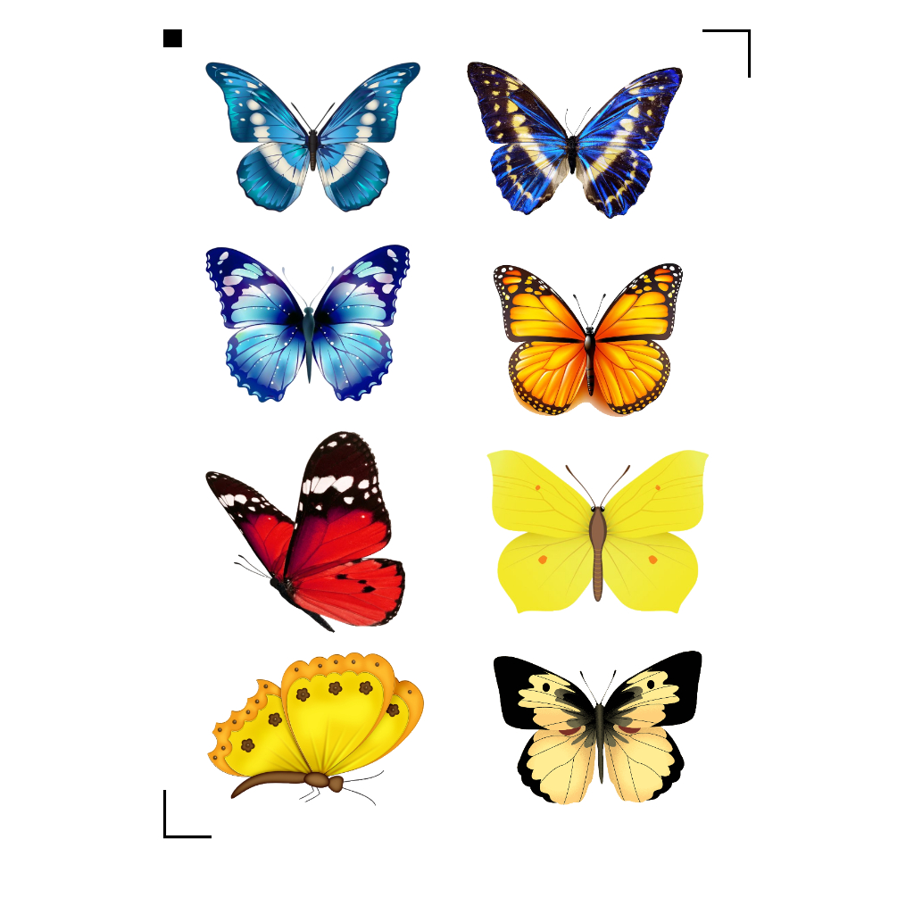 Adesivo Borboleta á prova d'água temos á pronta entrega chega rapidinho em Oferta na Shopee