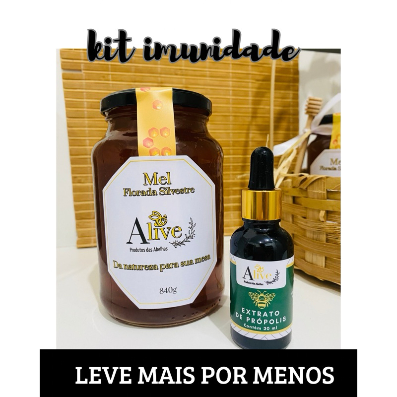 Mel Puro Cru Pote Grande 840g + Extrato de Própolis Puro 30% 30ml Kit Imunidade