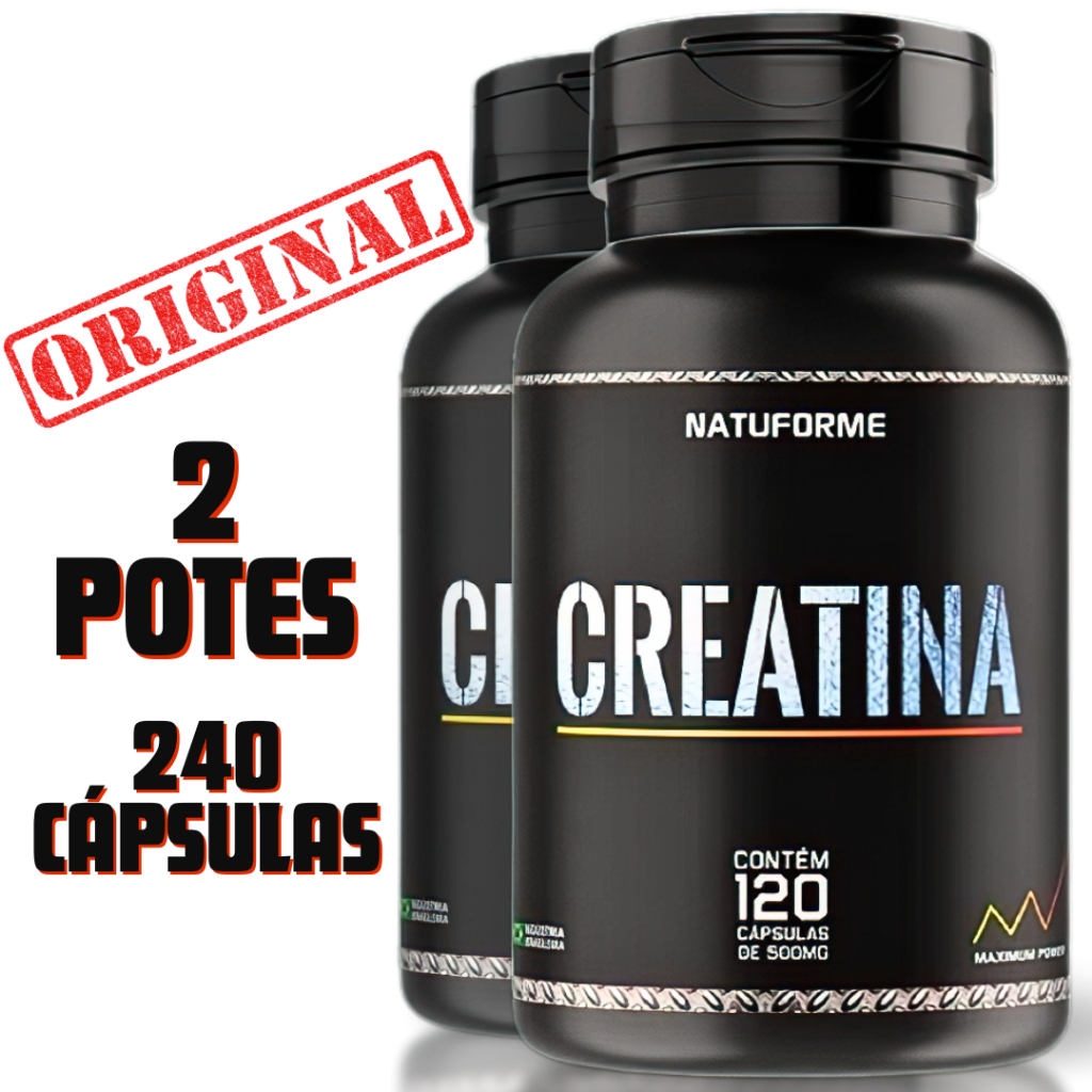 O que é Creatina de Qualidade? Guia e Onde Comprar | BuscaProdutos