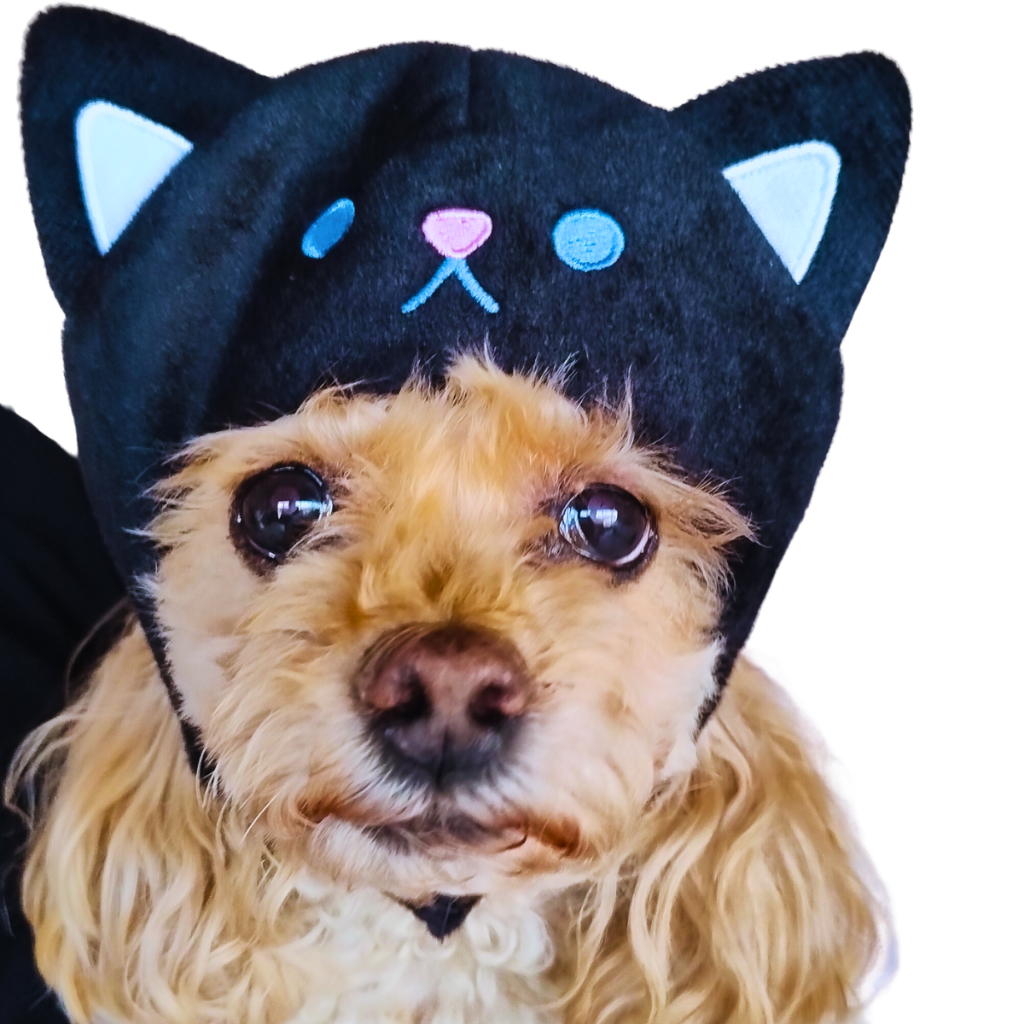 Chapeu Touca Fantasia Pet Para Gatos E Cachorros Pequenos