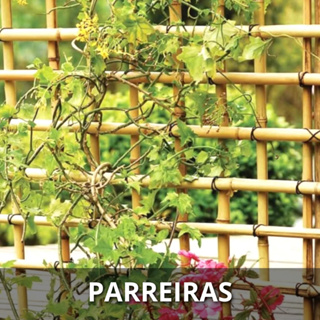 Tutor Estaca de Bambu para Parreiras Hortaliças Jardins Kit 10 unidades 1mx2cm diâmetro em Oferta na Shopee