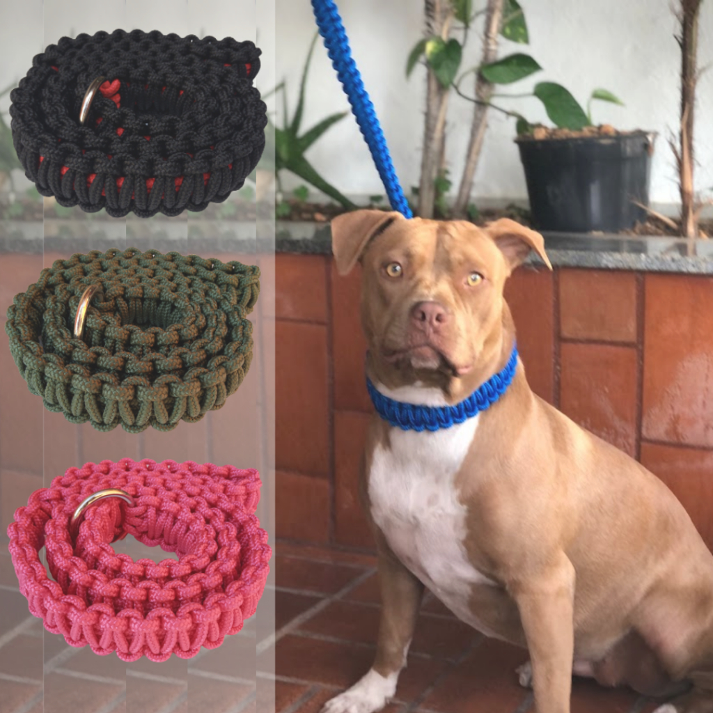Guia Artesanal Pet para Cachorro Coleira Enforcador Pitbull Unificada Cães Médio Grnd Trançada Pracord Pitmonster Bully