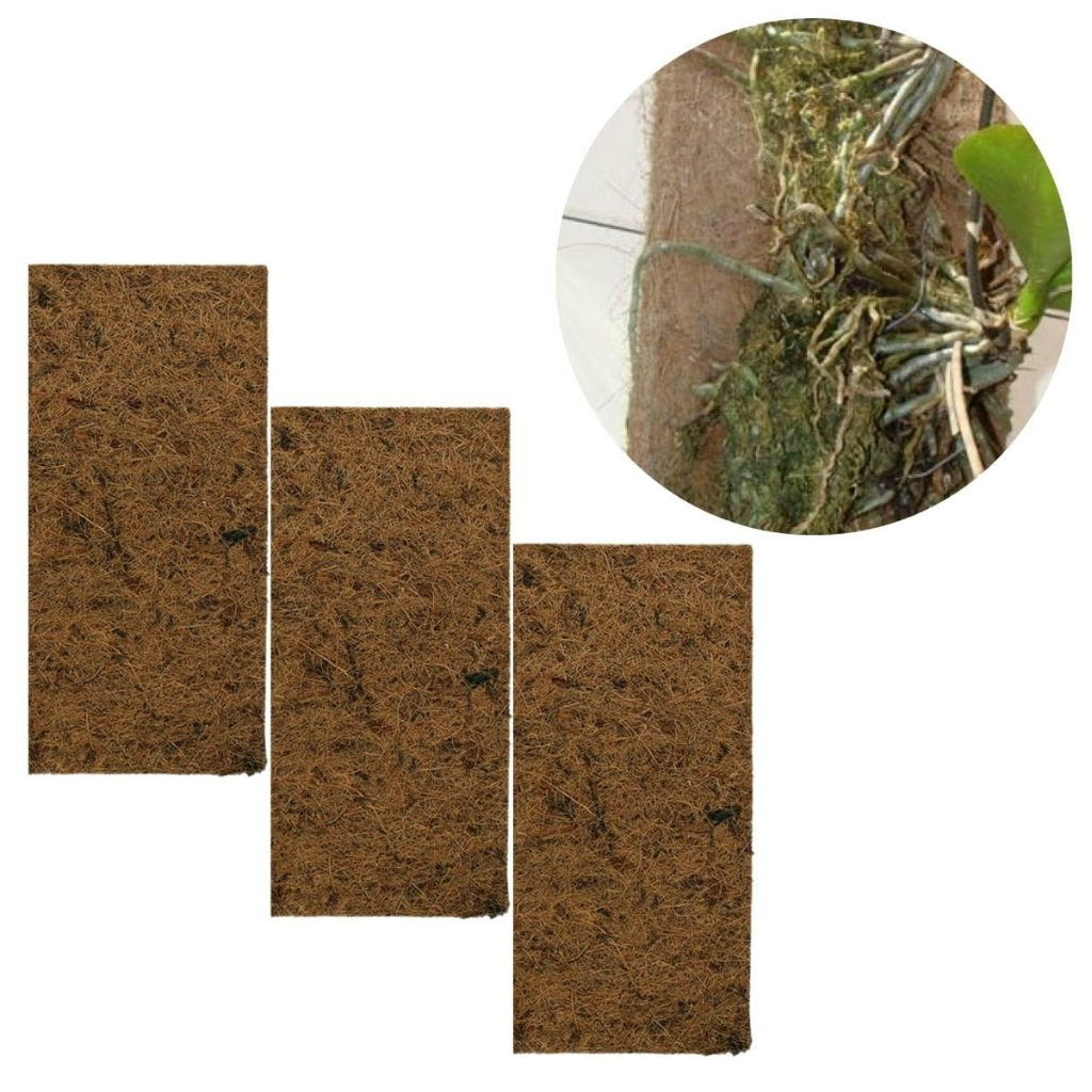 3 Placa Painel De Fibra De Coco Jardinagem 30x15 Plantas Natural Para Prender Orquidea Chifre de Veado Planta Trepadeira