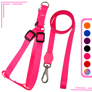 Guia + Coleira Peitoral Gatos E Cães Pet Pequenos em Oferta na Shopee