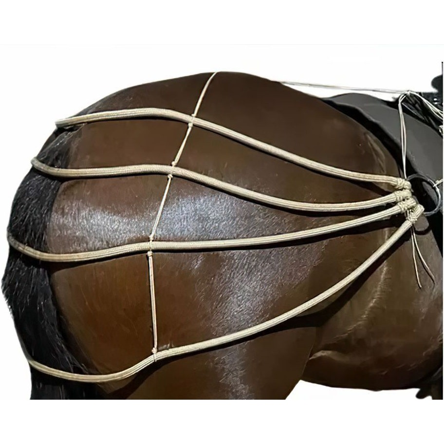 Retranca De Garupa Para Equinos/cavalos/garupeira Cor Bege em Oferta na Shopee