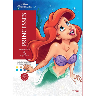 Livro de colorir Mistérios Princesas Disney Gramatura 90 ou 75 Gramas Folhas Soltas ou Encadernado em Oferta na Shopee