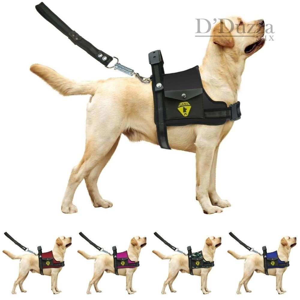 Coleira Peitoral Com Regulagem Guia Para Cães Pitbull Dobermann Husky Com Bolso Confortável