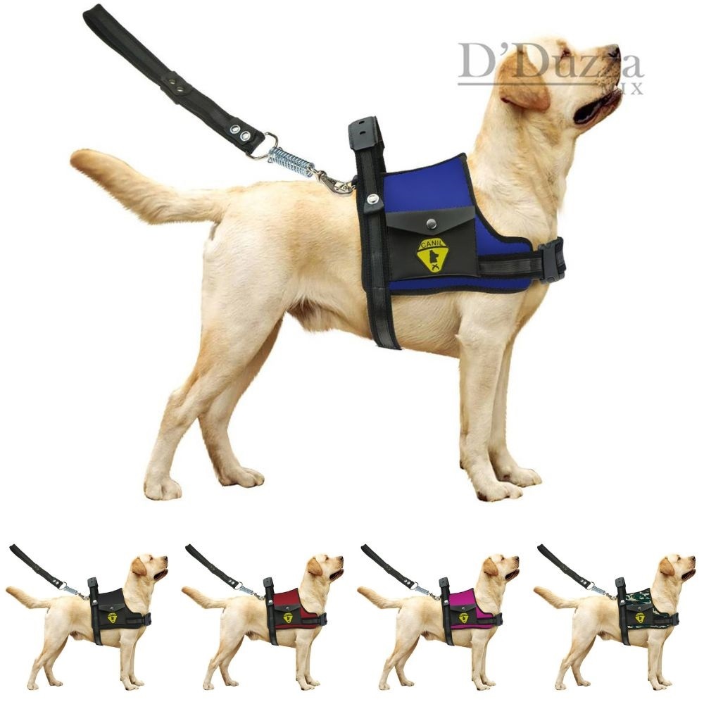 Peitoral Coleira Com Regulagem Guia Para Cães Com Bolso Golden Retriever Labrador Pit Bull