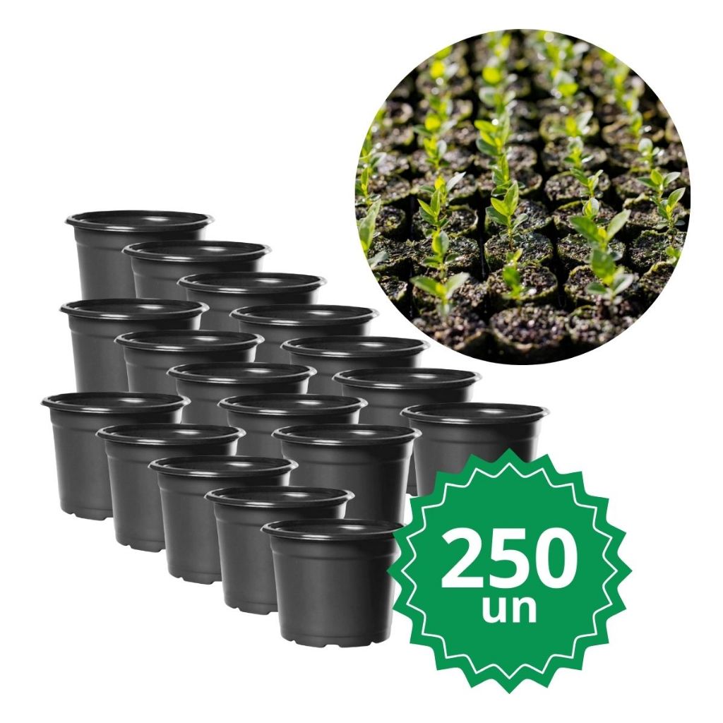 250 Mini Vaso Vasinho Pote de Muda Horta NP06 De Plastico Preto 90ml Pequeno Germinação Cultivo de Cacto Mini Suculenta