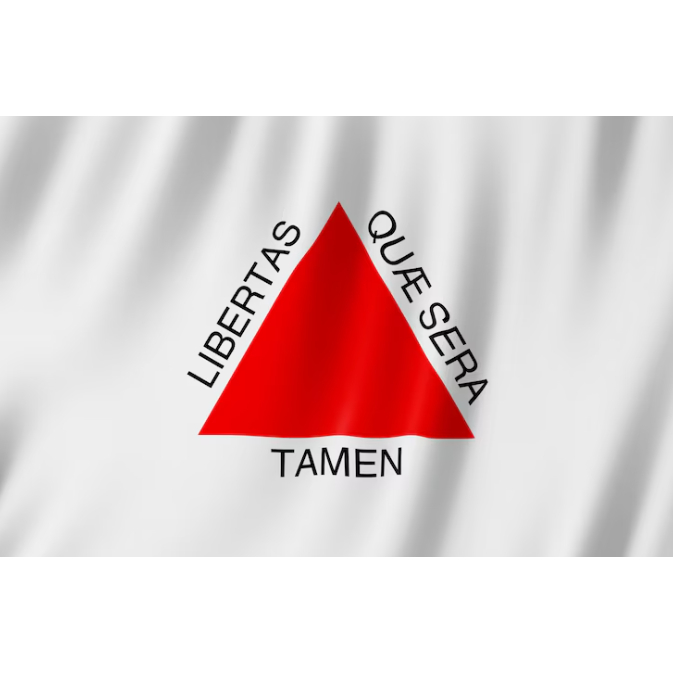 Bandeira de Minas Gerais Grande Cetim com Acabamento 150x1,00 em Oferta na Shopee