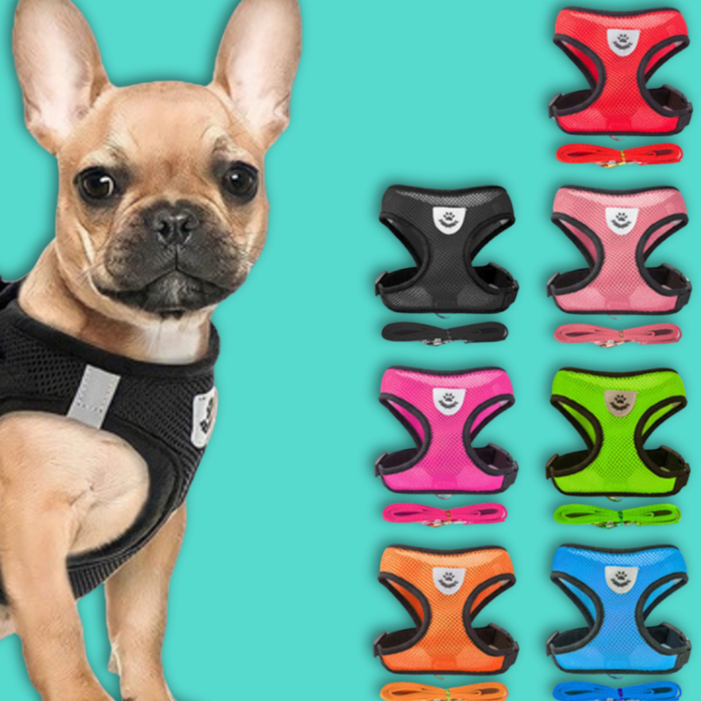 Coleira peitoral com guia cães e gatos respirável regulável pequeno e médio porte cachorro conjunto em Oferta na Shopee