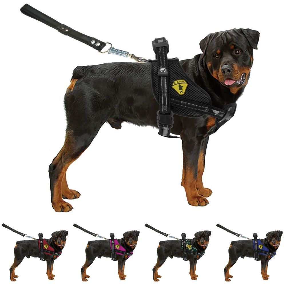 Coleira Cachorros Golden Retriever Pastor Alemão Doberman Husky Pitbull Bulls