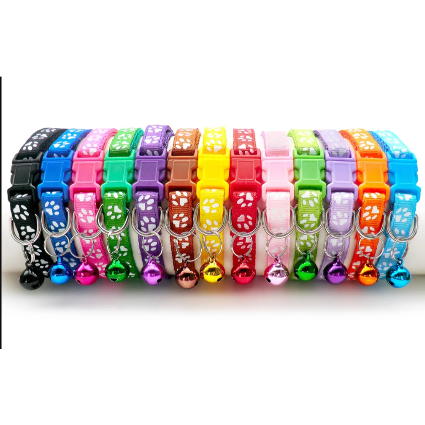 Coleira PET patinhas, diversas cores, acompanha sininho colorida, PET's de porte pequeno
