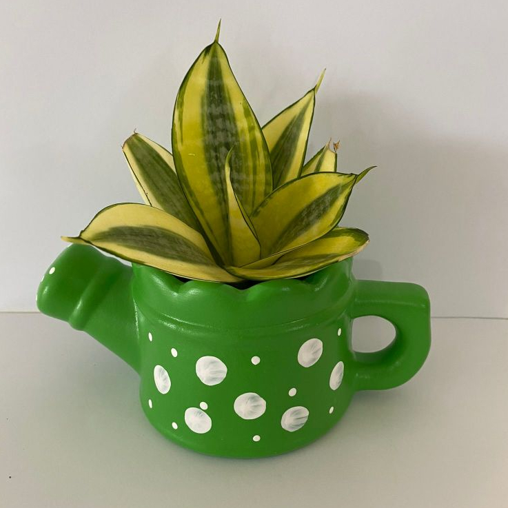 Vaso chaleirinha de cerâmica para plantas, cactos e suculentas / Vasinho cachepot decoração. em Oferta na Shopee