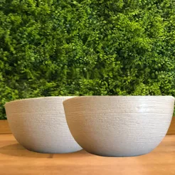 Kit com 2 vasos Bacia Polietileno Para Plantas cactos e Suculentas (26x13)