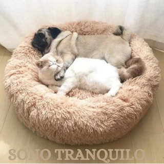 CAMA PET DONUT NUVEM PELUCIA REDONDA CAMINHA PELUCIADA NINHO CASINHA CASA COLCHONETE CÃO GATO TOCA em Oferta na Shopee