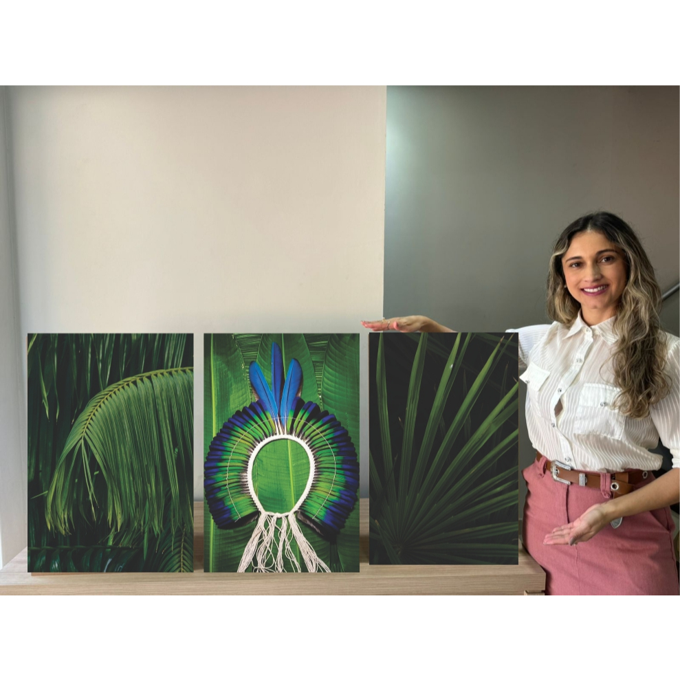 QUADRO DECORATIVO COCAR INDIGINA VERDE FOLHAGEM 3 TELAS em Oferta na Shopee