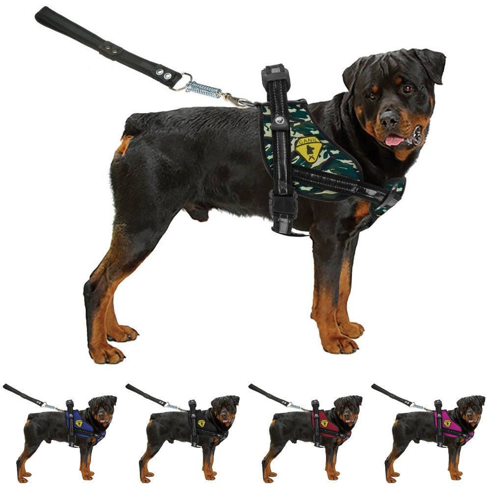 Guia Para Cães Rottweiler Pitbull Husky Doberman Coleira Peitoral Com Alça Reforçado Pit Bulls