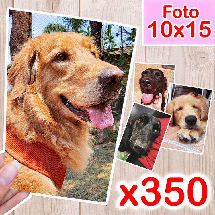 Revelação Fotos 10x15 (350 Unidades) em Oferta na Shopee