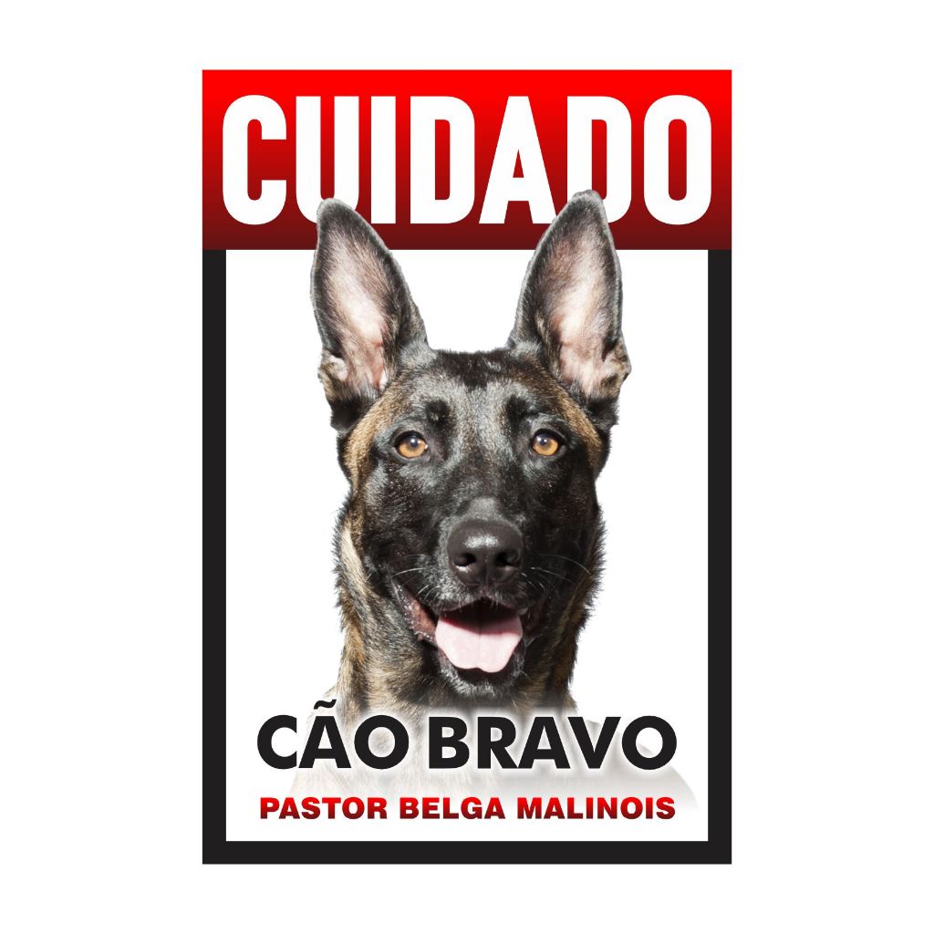 Placa Cuidado Cão Bravo Pastor Belga Malinois 20x30 PS 1mm