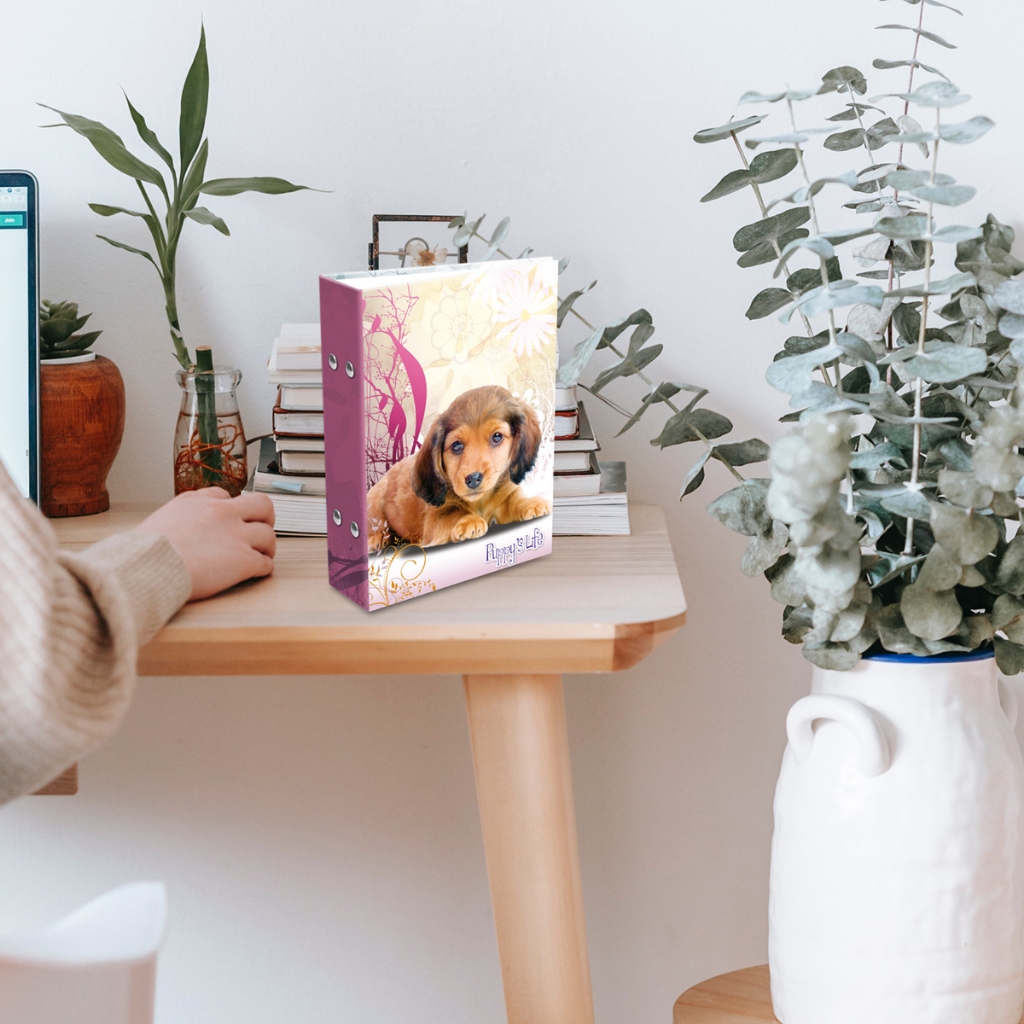 ALBUM 10X15/120 FOTOS RECORDE MOMENTOS PET em Oferta na Shopee