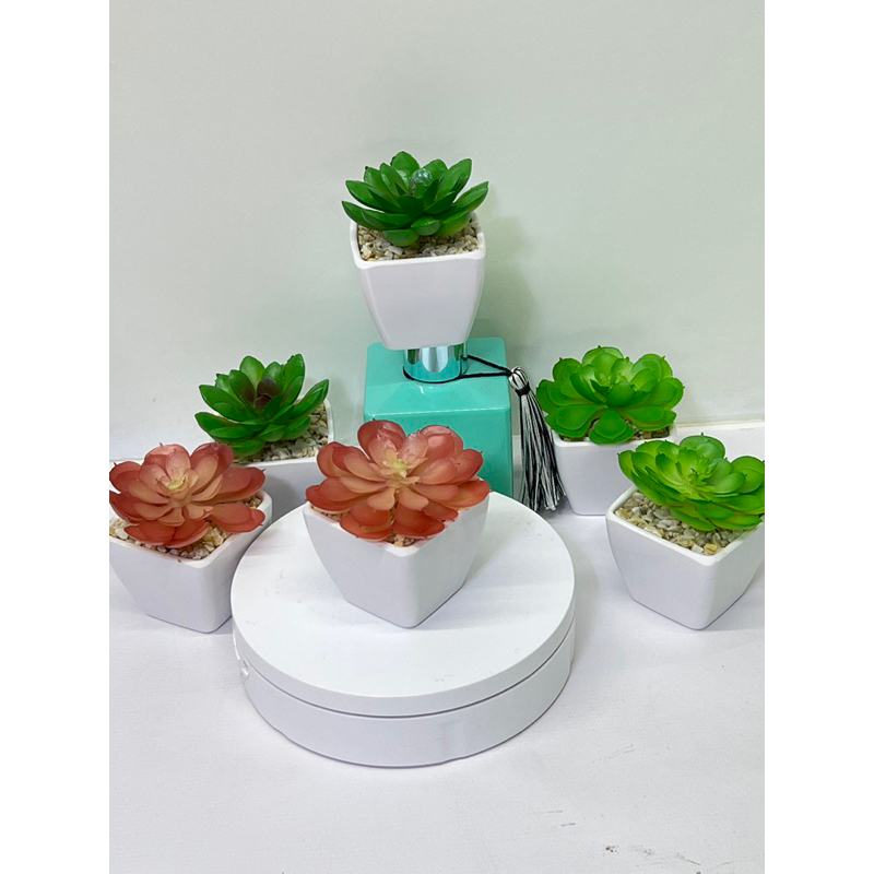 kit com 2 { mini }vaso com suculenta artificiais em Oferta na Shopee