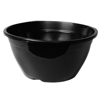 kit 100 vasos cuia 21 de 2 litros Pretas Samambaias, Mudas e Rosa do Deserto em Oferta na Shopee