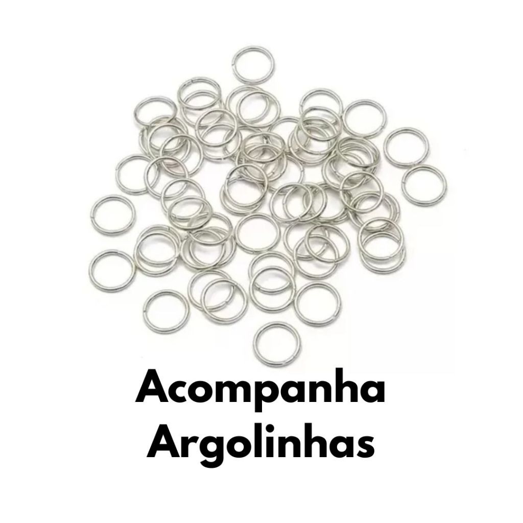 Detalhes do Kit Placa de Identificação Pet com Argolinhas (sem gravação)