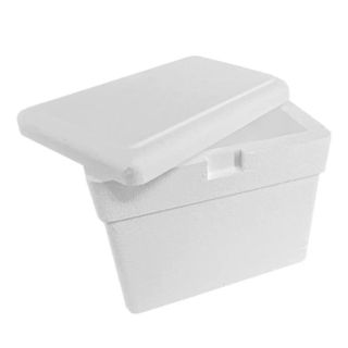 Caixa térmica de Isopor tamanho 3 litros em Oferta na Shopee